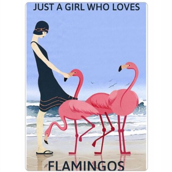 “Just a Girl Who Loves Flamingos” Magnet - Picture 2 of 2
